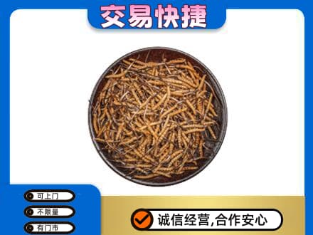 荆门礼品回收虫草.jpg